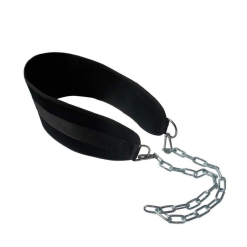 Pull Up Weight Belt