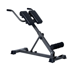 Adjustable Roman Chair Exercise